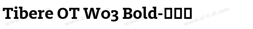 Tibere OT W03 Bold字体转换